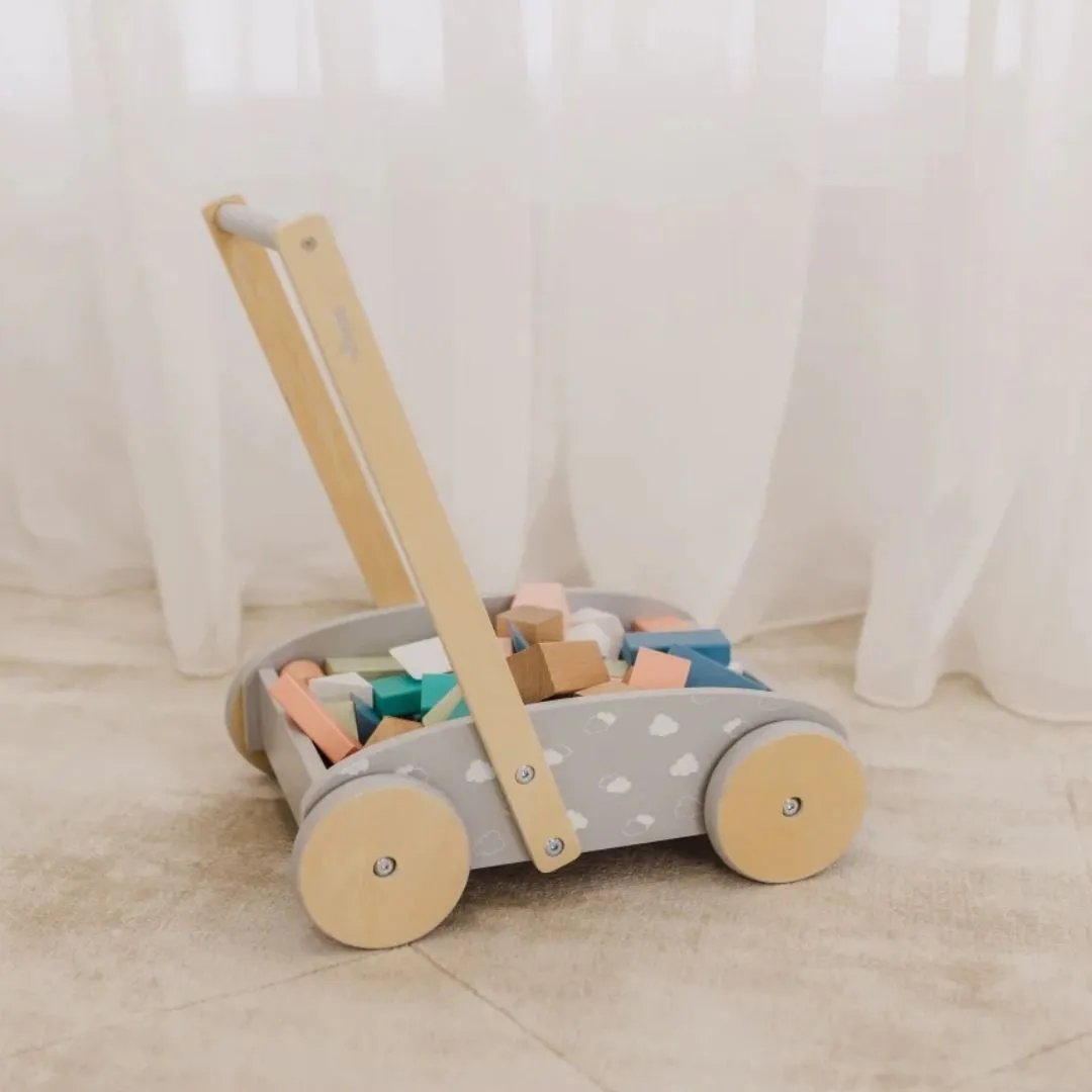 Bubble Wooden Baby Push Cart & Walker with 45 Building Blocks (12m )