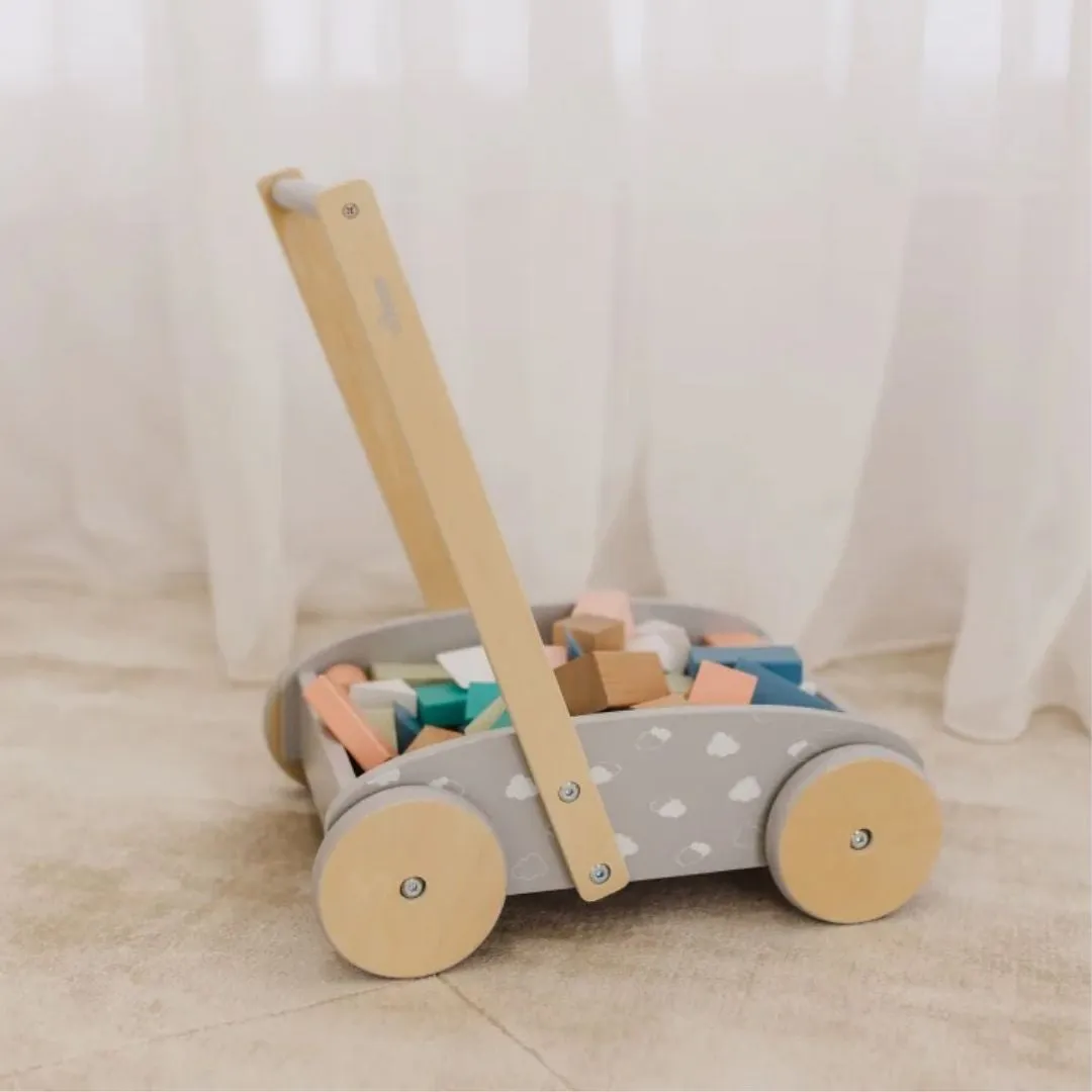 Bubble Wooden Baby Push Cart & Walker with 45 Building Blocks (12m )