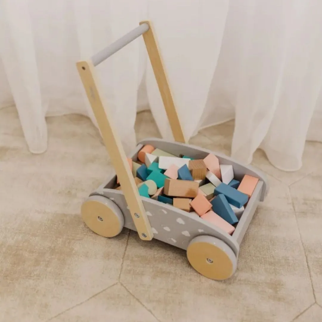 Bubble Wooden Baby Push Cart & Walker with 45 Building Blocks (12m )