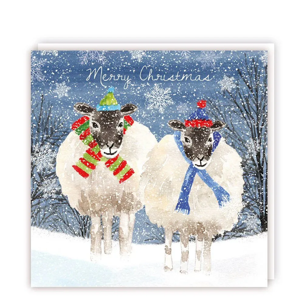 Tracks Publishing Sheep in Scarves Christmas Cards - Pack of 5